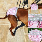 Preview: Fleur de cerisier