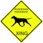 Preview: YELLOW SIGN "Rhodesian Ridgeback XING"