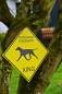 Preview: YELLOW SIGN "Rhodesian Ridgeback XING"