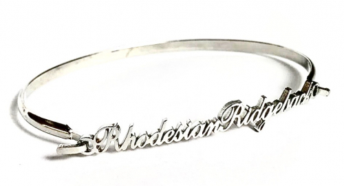 Armband RHODESIAN RIDGEBACK silberfarben