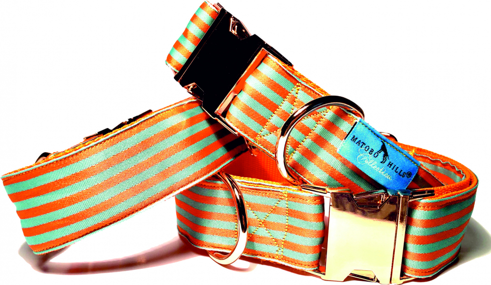 Ligne orange / turquoise